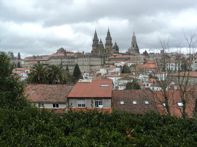 Cathedral and area Santiago de Compostela, Galicia Spain