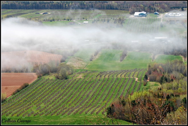 Fog Over the Valley Canning, Nova Scotia Canada