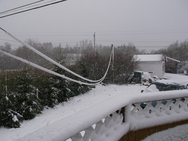 Snow Storm In May Carmanville, Newfoundland and Labrador Canada