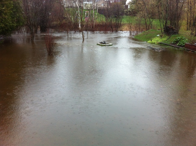 backyard flood Thunder Bay, Ontario Canada