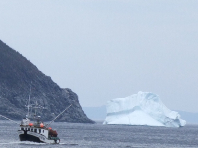 Boat and Icebergs La Scie, Newfoundland and Labrador Canada