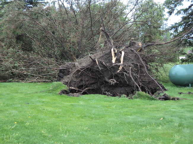 Storm Damage in Dalston Dalston, Ontario Canada