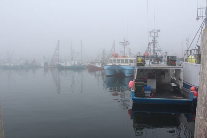 Foggy day on Grand Manan Saint John, New Brunswick Canada