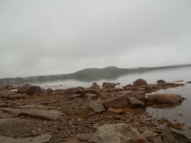 Calm Morning Birchy Bay, Newfoundland and Labrador Canada