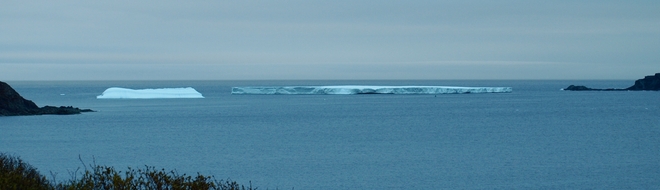 Iceberg St. Lunaire-Griquet, Newfoundland and Labrador Canada