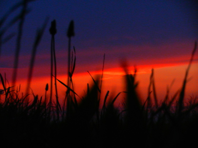 Sun set Nason, Illinois United States