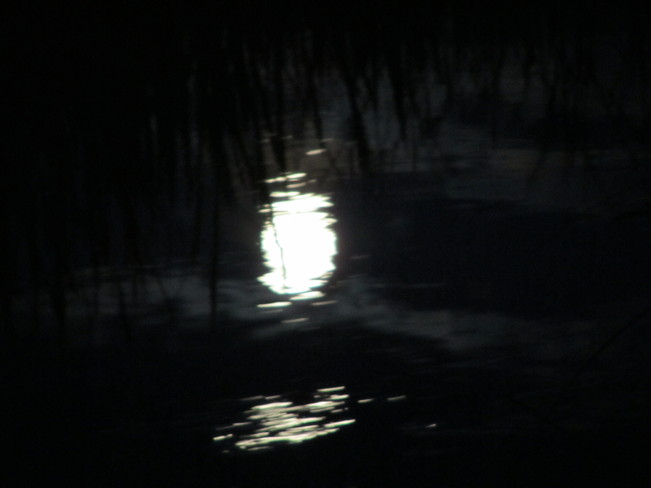 Moon reflecting on creek Vernon, British Columbia Canada