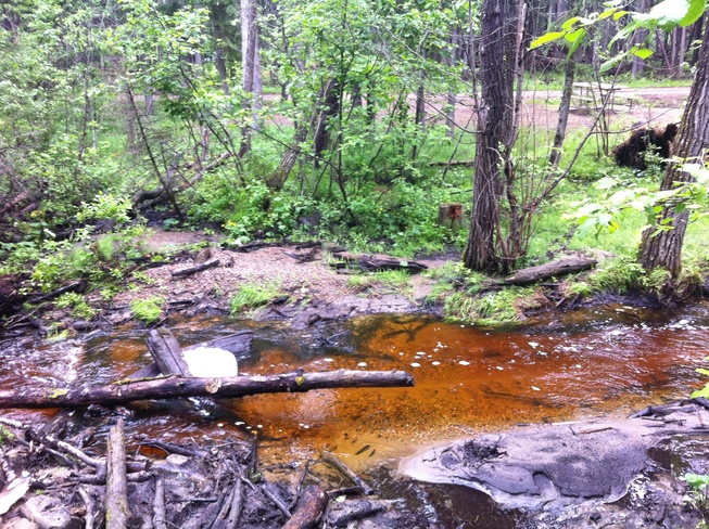 a stream, but not a stream Waskesiu Lake, Saskatchewan Canada