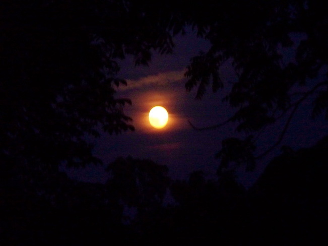Biggest Full Moon of the Year Peterborough, Ontario Canada