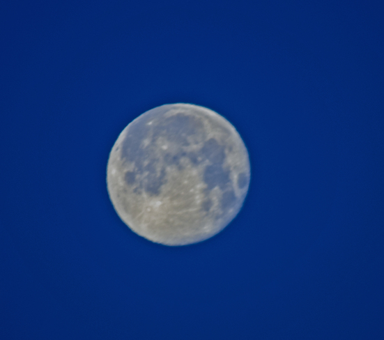 Super Moon, the morning after full, 