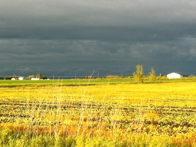 Dark Clouds in Sunshine Portage La Prairie, Manitoba Canada
