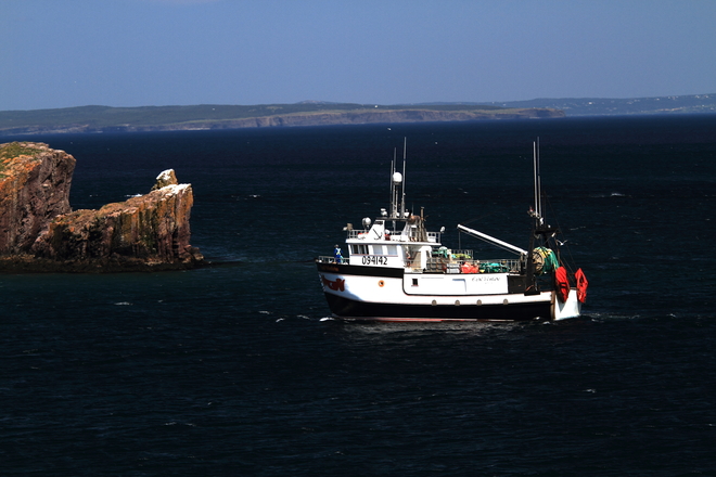 Port de Grave fishing boat Bay Roberts, Newfoundland and Labrador Canada