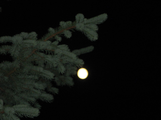 Super Moon 2013 Calgary, Alberta Canada