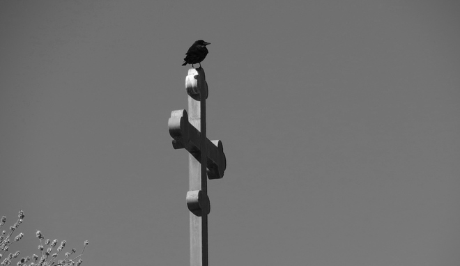 Crow on a Cross Moncton, New Brunswick Canada