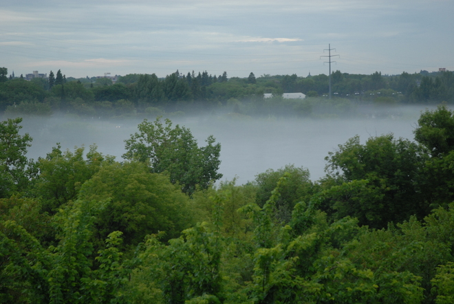 Saskatoon Fog in June Saskatoon, Saskatchewan Canada
