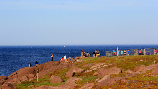 Whale watchers at Cape Spear St. John's, Newfoundland and Labrador Canada