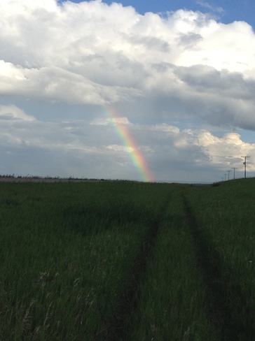 Rainbow North Battleford, Saskatchewan Canada