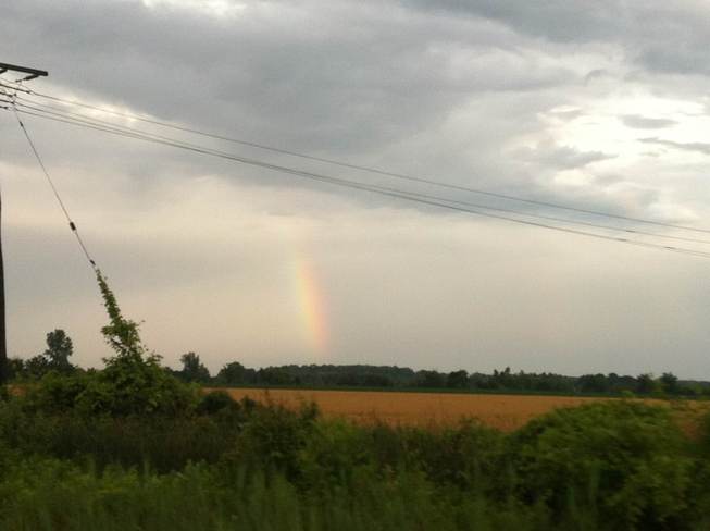 rainbow in leamington Leamington, Ontario Canada