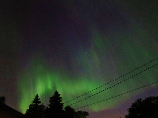 northern lights Edmonton, Alberta Canada