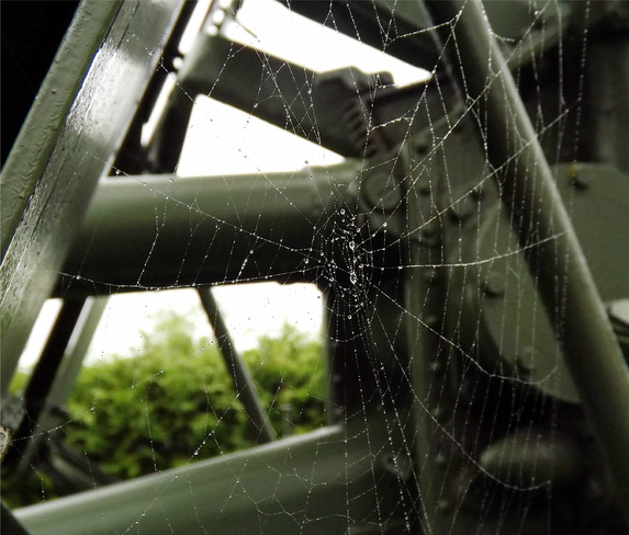 Spider Web Saint John, New Brunswick Canada