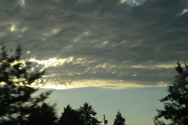 Clouds just a relief for scorching heat Greater Vancouver, British Columbia Canada