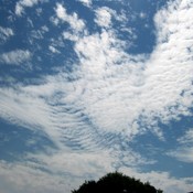 Un nuage en forme d&#39;aigle
