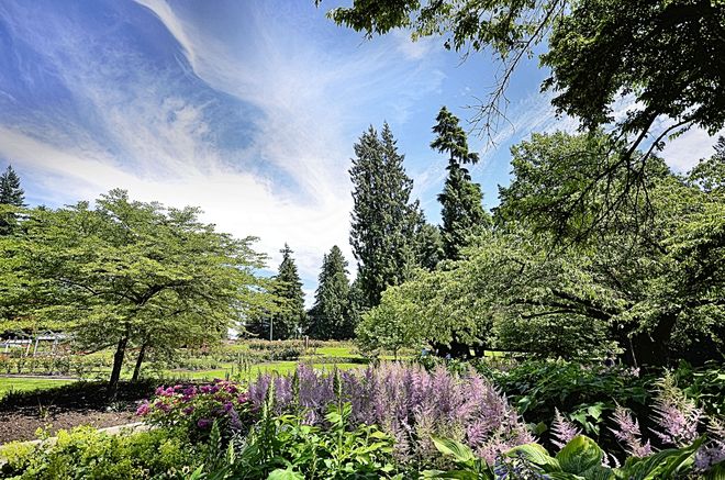 Gardens at Stanley Park Vancouver, British Columbia Canada