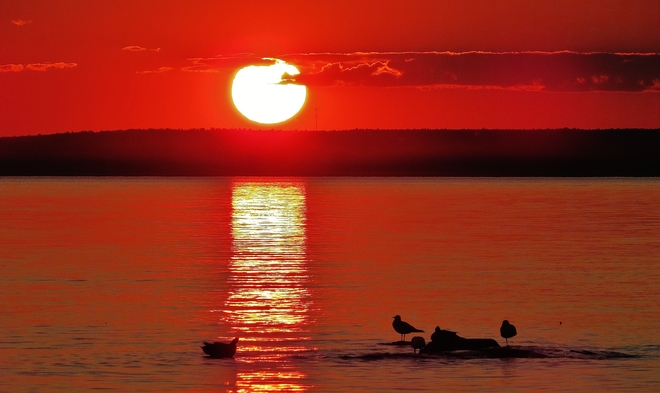 Sun heads for the hills as waterfowl relax. North Bay, Ontario Canada