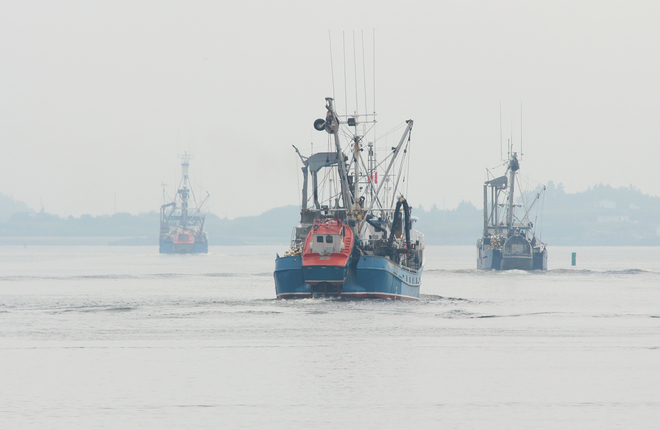 Herring seiners head into the fog - Yarmouth Harbour Yarmouth, Nova Scotia Canada