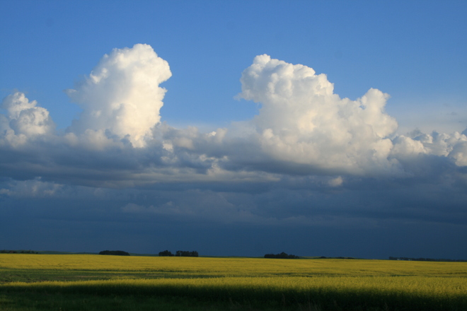 TALL clouds Reward, Saskatchewan Canada