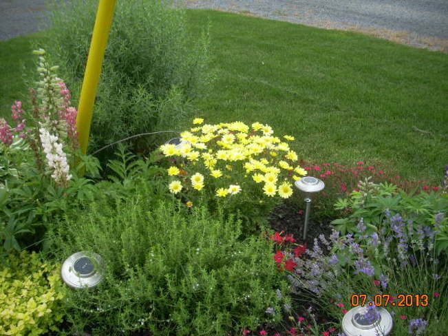 Lush garden without watering! St. Isidore, Ontario Canada
