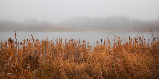 Fog Mist on the Water Glaslyn, Saskatchewan Canada