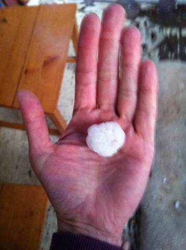 Hail in my hand Edmonton, Alberta Canada