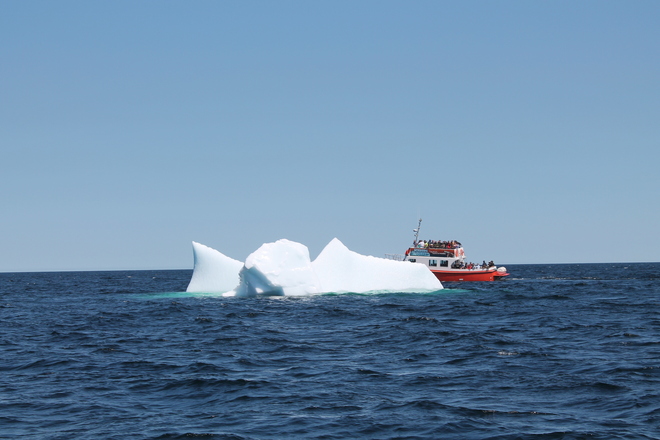 whale watching in twillingate, NL Grand Falls-Windsor, Newfoundland and Labrador Canada