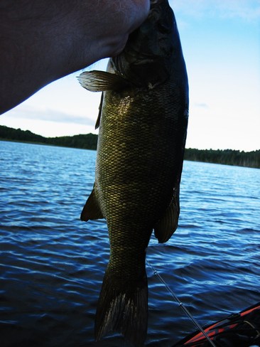 The Catch Elliot Lake, Ontario Canada