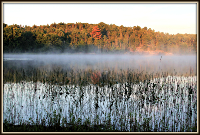 Morning Mist Noëlville, Ontario Canada