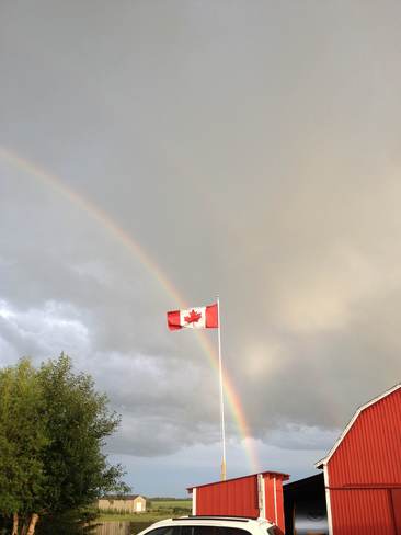 canadian rainbow Olds, Alberta Canada