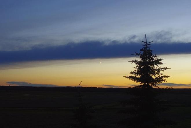 Crescent moon at sunset Onoway, Alberta Canada