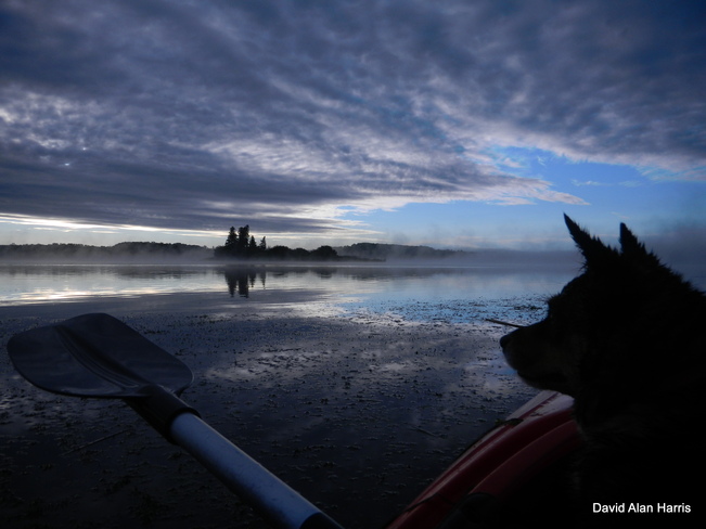 Morning Kayak ride Clyde, Alberta Canada