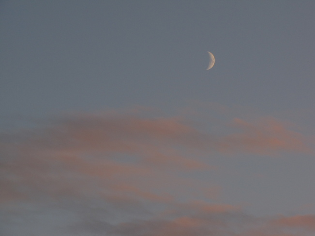 Moon at Sunset Southey, Saskatchewan Canada