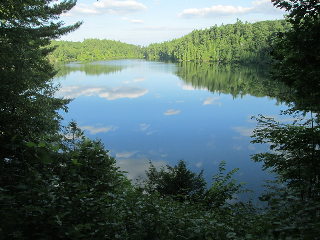 Reflections in Pink Lake Ottawa, Ontario Canada