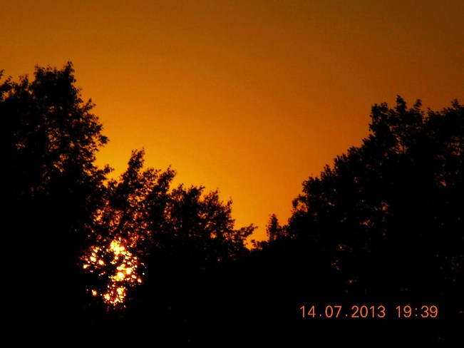 Sun going down through trees Salisbury, New Brunswick Canada