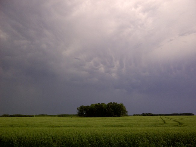 Drooping Clouds Winnipeg, Manitoba Canada