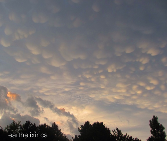 Breast clouds Toronto, Ontario Canada
