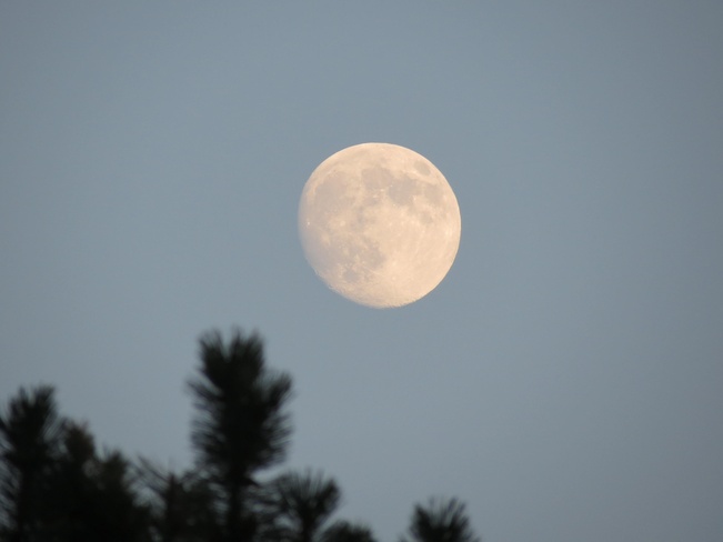 almost full moon Mississauga, Ontario Canada