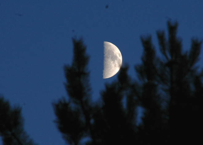 Half Moon Burnaby, British Columbia Canada