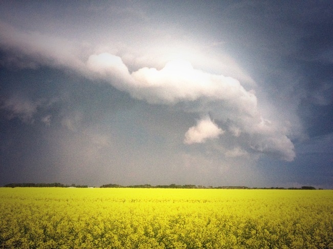 Approaching Storm at Lacombe, Alberta Lacombe, Alberta Canada
