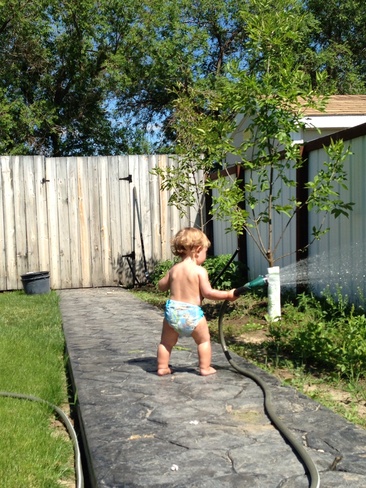 Nixon watering the garden! Shaunavon, Saskatchewan Canada