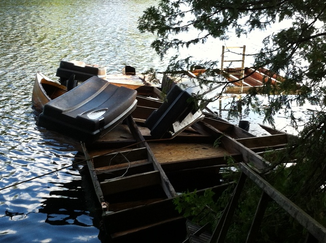 Storm Damage Catchacoma Lake, Ontario Canada