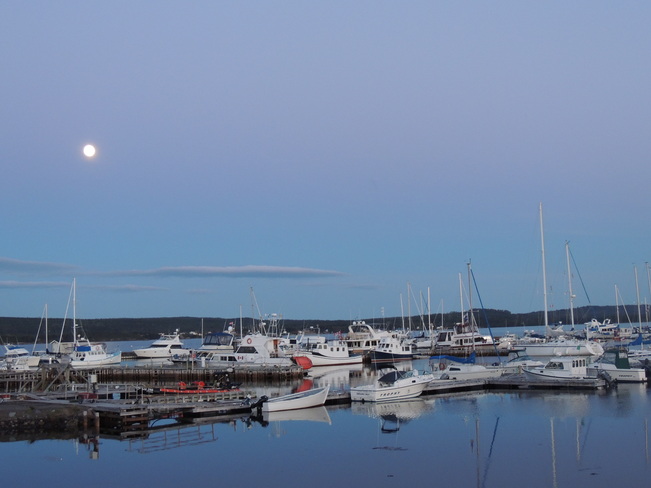 Beautiful night at the Marina 2 Lewisporte, Newfoundland and Labrador Canada